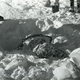 Imagen: El cuerpo de una de las víctimas, encontrado boca abajo enterrado por la nieve